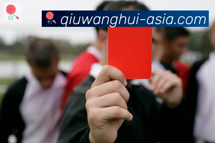 球王会官方平台APP 高清赛事图
